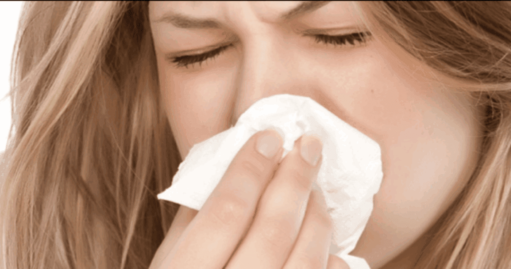 Huisstofmijt wat is dat?